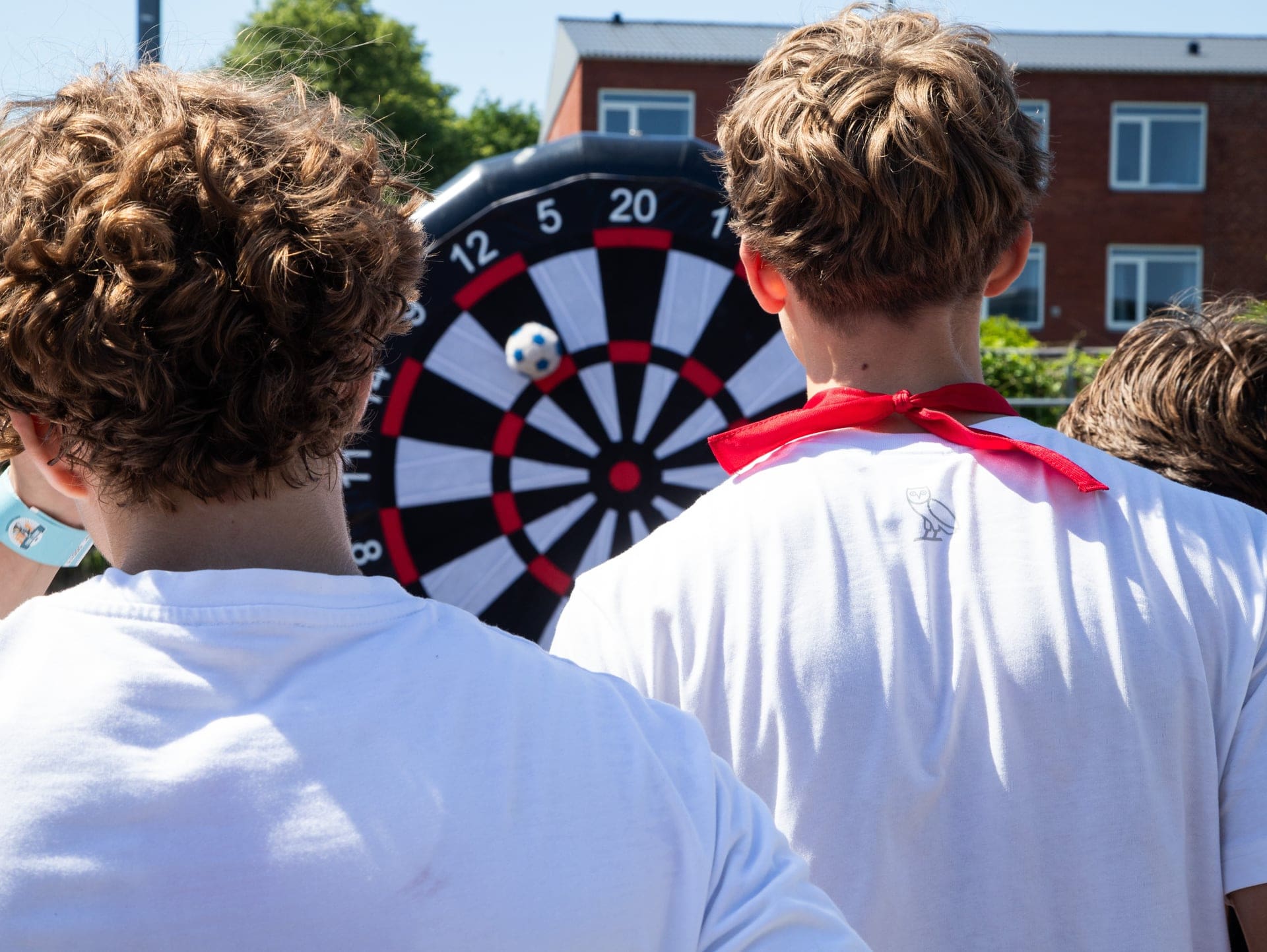 You are currently viewing Mega Dart